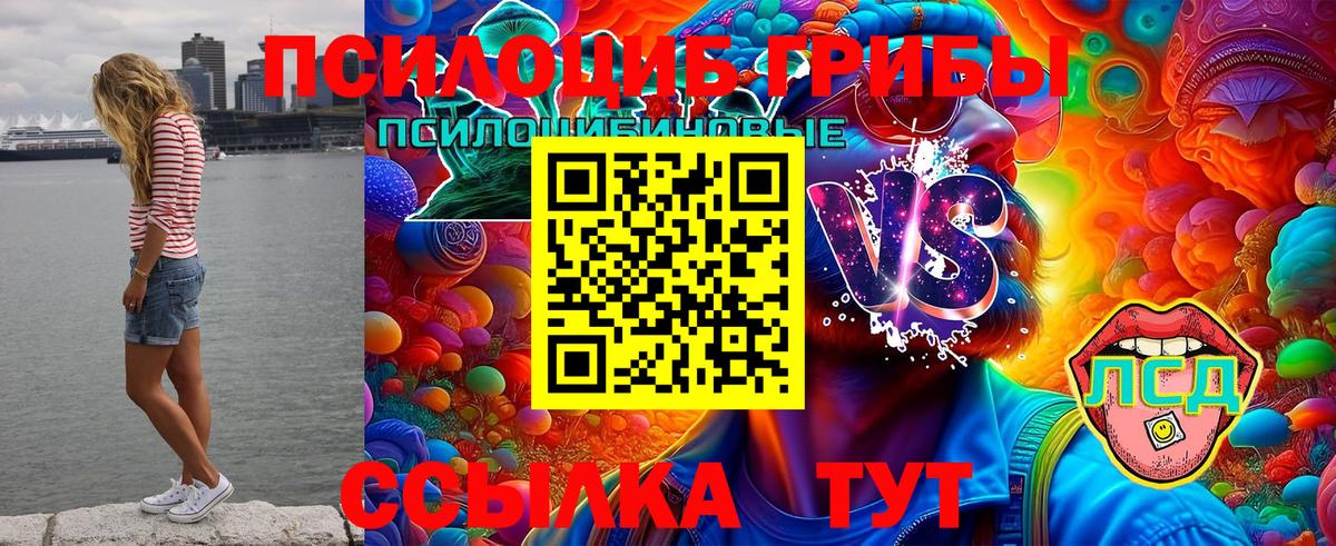 Галлюциногенные грибы мицелий  Псилоцибиновые грибы Psilocybine cubensis  Наро-Фоминск  Вход с VPN 